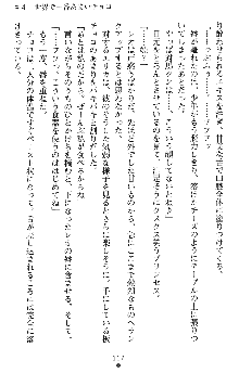 つよきすアナザーストーリー 霧夜エリカの場合, 日本語