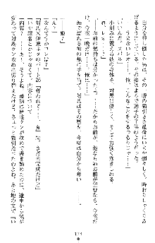 つよきすアナザーストーリー 霧夜エリカの場合, 日本語