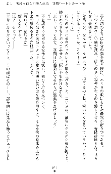 つよきすアナザーストーリー 霧夜エリカの場合, 日本語