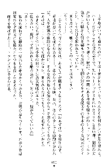 つよきすアナザーストーリー 霧夜エリカの場合, 日本語