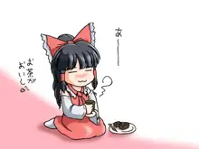 無敵弾幕娘, 日本語