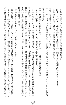 つよきすアナザーストーリー 椰子なごみの場合Ⅱ, 日本語