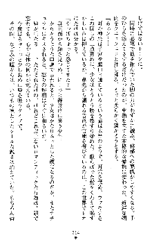 つよきすアナザーストーリー 椰子なごみの場合Ⅱ, 日本語