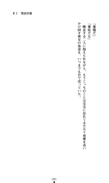 つよきすアナザーストーリー おとなごみと猫姫と小さな乙女さんの場合, 日本語