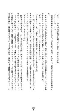 つよきすアナザーストーリー おとなごみと猫姫と小さな乙女さんの場合, 日本語