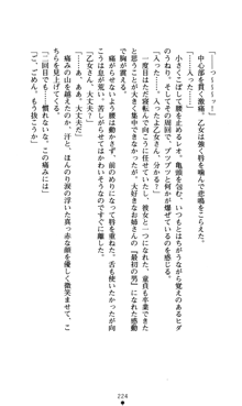 つよきすアナザーストーリー おとなごみと猫姫と小さな乙女さんの場合, 日本語