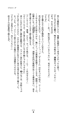 つよきすアナザーストーリー おとなごみと猫姫と小さな乙女さんの場合, 日本語