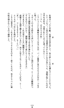 つよきすアナザーストーリー おとなごみと猫姫と小さな乙女さんの場合, 日本語