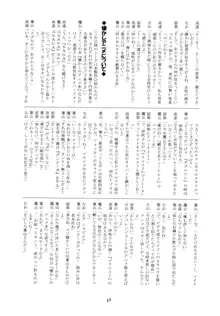 R.R.R. 72nd Book - 暗転, 日本語