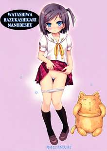 Hentai Ouji to Binetsu Neko. 1, 中文