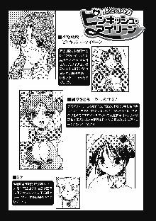 淫惑メタモルフォーゼ, 日本語