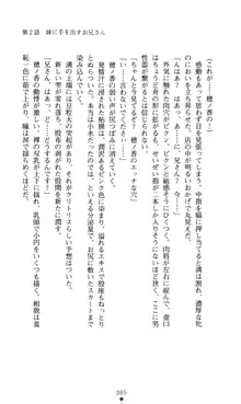 ノストラダムスに聞いてみろ♪ 秋葉穂ノ香の約束, 日本語