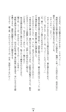 ノストラダムスに聞いてみろ♪ 秋葉穂ノ香の約束, 日本語