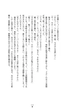 ノストラダムスに聞いてみろ♪ 秋葉穂ノ香の約束, 日本語