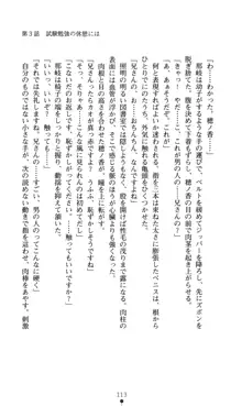 ノストラダムスに聞いてみろ♪ 秋葉穂ノ香の約束, 日本語