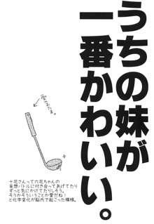 うちの妹が一番かわいい。, 日本語