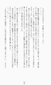 つよきす2学期アナザーデイズ ピンチなごみと男乙女と素奈緒お姉ちゃんの場合, 日本語