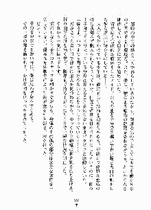 ムチむちメイド姫織, 日本語