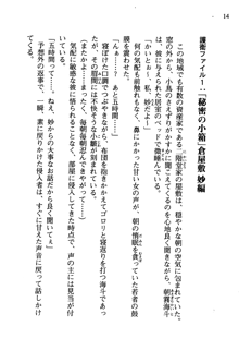 暁の護衛 プリンシパル護衛日記, 日本語