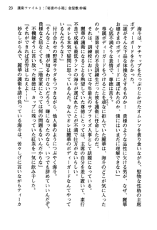 暁の護衛 プリンシパル護衛日記, 日本語