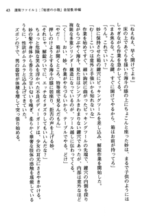 暁の護衛 プリンシパル護衛日記, 日本語