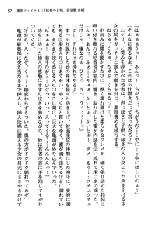 暁の護衛 プリンシパル護衛日記, 日本語