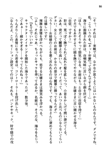 暁の護衛 プリンシパル護衛日記, 日本語