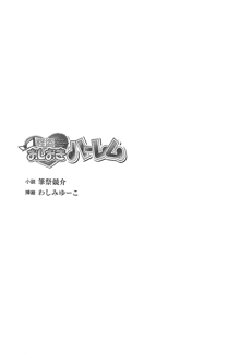 怪盗おしおきハーレム, 日本語