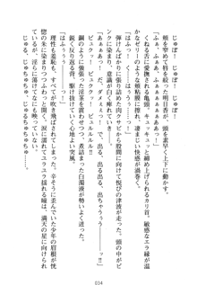 祥華女学園へようこそ 僕は理事長, 日本語