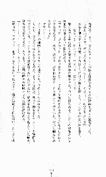 ダーク・スティンガー サンシャイン作戦, 日本語