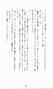 ダーク・スティンガー サンシャイン作戦, 日本語