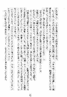 ないしょのシスターズ お嬢さまな姉とメイドな彼女, 日本語