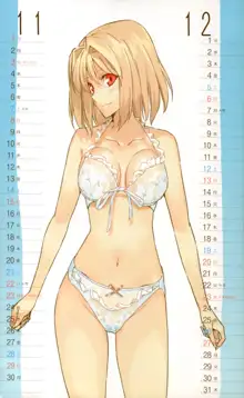 2009 TYPE-MOON CALENDAR, 日本語