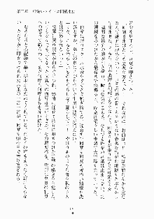 メイドと執事と御主人さまっ！, 日本語