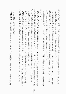 メイドと執事と御主人さまっ！, 日本語