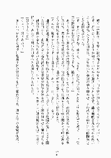 メイドと執事と御主人さまっ！, 日本語