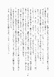 メイドと執事と御主人さまっ！, 日本語