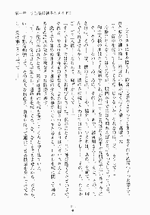 メイドと執事と御主人さまっ！, 日本語