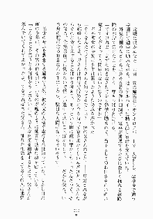 メイドと執事と御主人さまっ！, 日本語