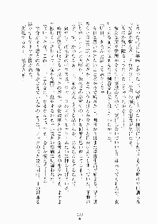 メイドと執事と御主人さまっ！, 日本語