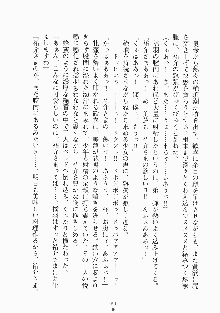 メイドと執事と御主人さまっ！, 日本語