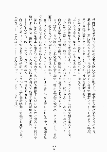 メイドと執事と御主人さまっ！, 日本語