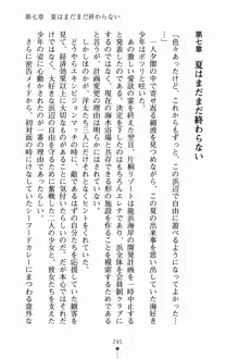 はっぴぃサマービーチ 水着でラブアタック, 日本語