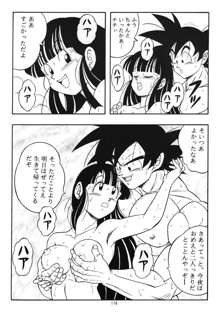 DRAGONBALL H 巻一, 日本語