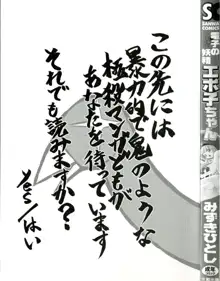 電子の妖精 エポ子ちゃん, 日本語