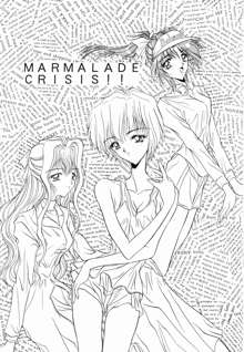 MARMARADE CRISIS！！, 日本語