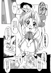 妹ちゃんだらけ, 日本語