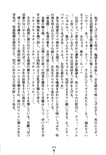 もののふガールズ 剣も恋も免許皆伝, 日本語