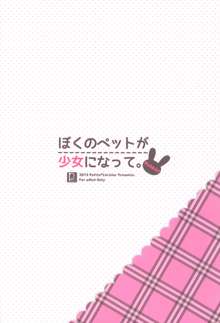 Boku no Pet ga Shoujo ni natte. -Rabbit!-, English