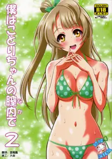 Boku wa Kotori-chan no Naka de 2, 中文